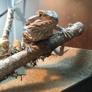 Meet your Posher, Gary